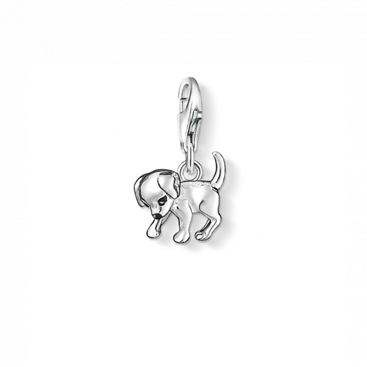 THOMAS SABO charm medál medál 0885-007-12