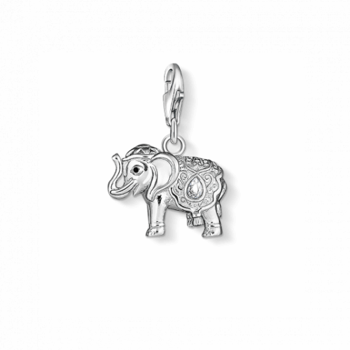 THOMAS SABO charm medál medál 1050-041-14