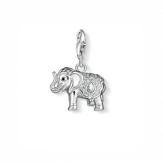 THOMAS SABO charm medál medál 1050-041-14