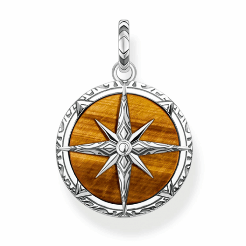THOMAS SABO medál Compass tiger‘s eye medál PE833-826-2
