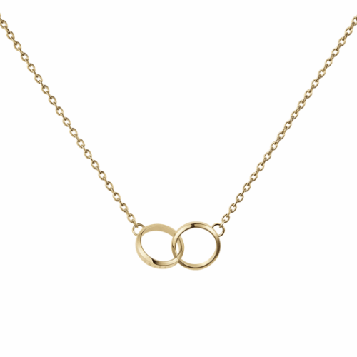 DANIEL WELLINGTON női nyaklánc Elan Unity nyaklánc DW00400219