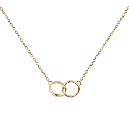 DANIEL WELLINGTON női nyaklánc Elan Unity nyaklánc DW00400219